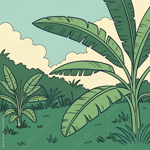 Vector art of banana trees in a green field