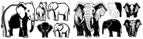 Majestic Elephants Group Illustration Walking in the African Savannah, Wildlife Conservation Artwork for Children's Education Materials, Bold Black and White Vector Outline Animal Illustrations, Ideal