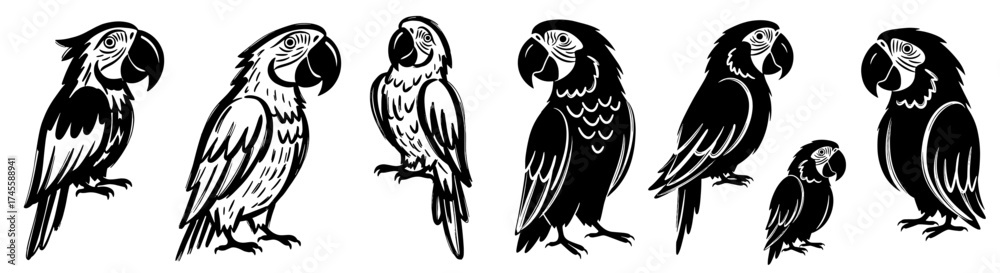 Fototapeta premium Elegant Parrot Silhouettes Illustration Set: Tropical Macaw Birds in Varied Poses, Exotic Wildlife Design Elements for Branding, Nature Conservation, Pet Industry Graphics, Ornithology Studies, Bold B