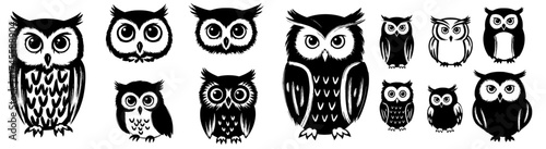 Whimsical Owls Collection: A Diverse Array of Stylized Owls for Artistic and Educational Projects, Perfect for Children's Books, Halloween Decor, Nature Illustration, or Nightlife Design, Wildlife Mas