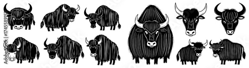 Majestic Yak Illustrations: Ruminant Mammals in Black and White Drawing Style, Perfect for Wildlife Education & Farm Animal Projects, Domesticated Bovine Breed for Agriculture Designs and Tibetan Cult