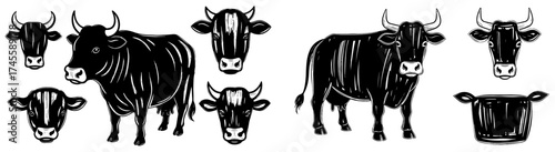Detailed Black Cow Illustrations: Farm Animal Sketches for Agricultural Business and Farming Education Projects, Rural Livestock, Dairy Cattle Graphics for Meat Industry Design, Veterinary Presentatio