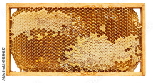 Wallpaper Mural Honeycomb frame filled with honey and wax on a white background , transparent png Torontodigital.ca