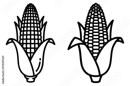 Vector art of two ears of corn with husks, one with kernels visible, black and white line art