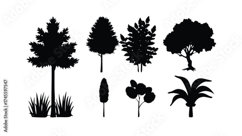 Solid Black Silhouette Vector Set of Trees and Plants