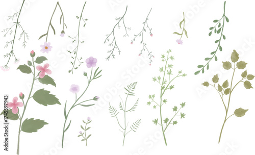 abstract floral background, green leaves and plant for poster and wedding concept