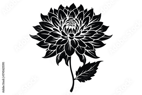 Black Silhouette of a Dahlia Flower with Intricate Petals and Stem Detail