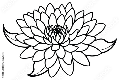 Elegant Black Outline of a Dahlia Flower Head with Leaves, Floral Design