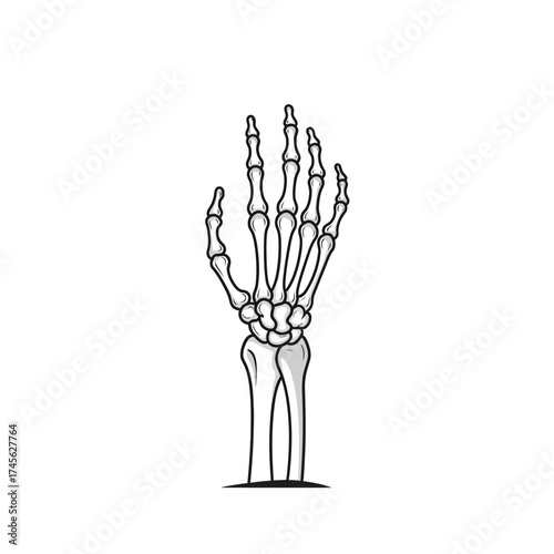 Detailed black and white illustration of a human hand and wrist skeleton, showing bones of the fingers, palm, and forearm.