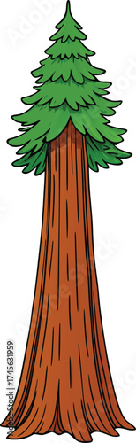 Cartoon illustration of a majestic giant redwood tree with a thick trunk and green foliage