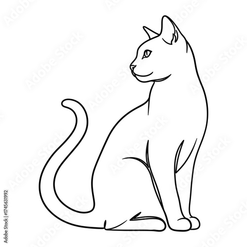Black and white outline drawing of a sitting cat looking to the side Keywords: cat, animal, outline, drawing