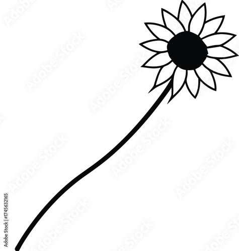 a sunflower stem laying horizontally 