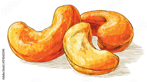Vibrant Cashew Nuts Illustration with 3 Nuts Displayed