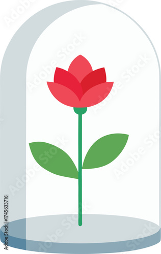 a flower seen through a transparent glass dome  cl