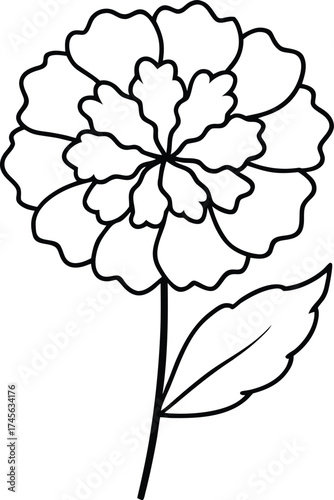 a marigold flower viewed from slightly