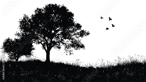 Stunning Black and White Tree Silhouettes in Nature Landscape Scenery