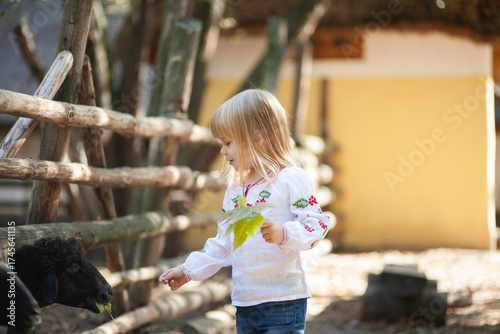 Little Girl Enjoys Autumn Outdoors With Colorful Leaves and a Curious Animal During a Bright October Day Filled With Halloween Spirit