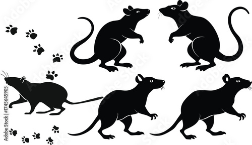 Black silhouette of five rats and paw prints in various poses on white background mouse rodent