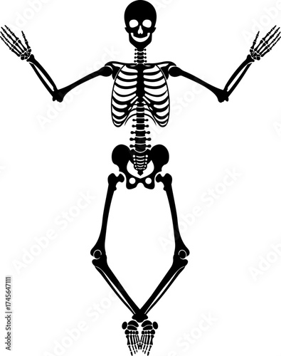 Dancing human skeleton bones icon isolated on transparent background in black and line style, anatomy spooky skull cranium medical illustration vector bundle design element.