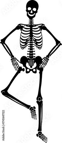 Dancing human skeleton bones icon isolated on transparent background in black and line style, anatomy spooky skull cranium medical illustration vector bundle design element.
