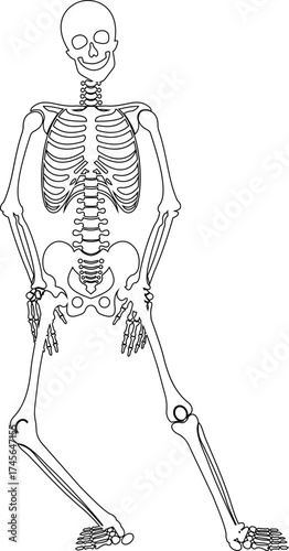 Dancing human skeleton bones icon isolated on transparent background in black and line style, anatomy spooky skull cranium medical illustration vector bundle design element.
