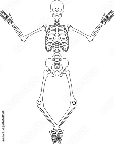 Dancing human skeleton bones icon isolated on transparent background in black and line style, anatomy spooky skull cranium medical illustration vector bundle design element.