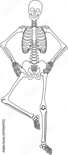 Dancing human skeleton bones icon isolated on transparent background in black and line style, anatomy spooky skull cranium medical illustration vector bundle design element.
