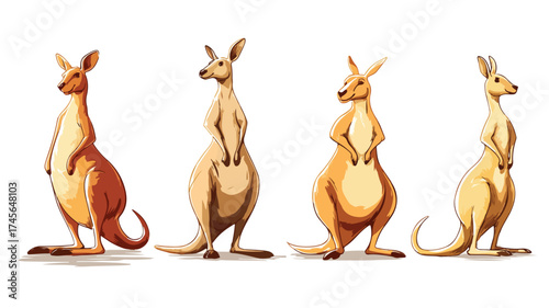 Four Stylized Cartoon Kangaroos in Various Poses on White Background Vector Illustration
