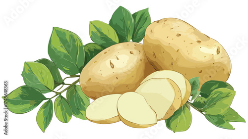 Green Leaves Wrapped Whole and Sliced Potatoes for Fresh Concept in Cooking and Culinary Art