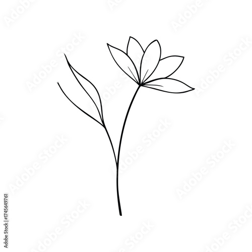 Flower Sketch Vector Design Ideas Adobe Stock