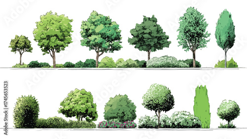 Professional Landscape Design Trees, Shrubs, and Hedge Vector Illustrations