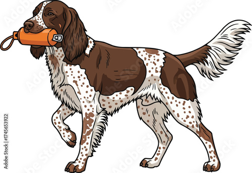 drentsche patrijshond dog carrying dummy vector illustration