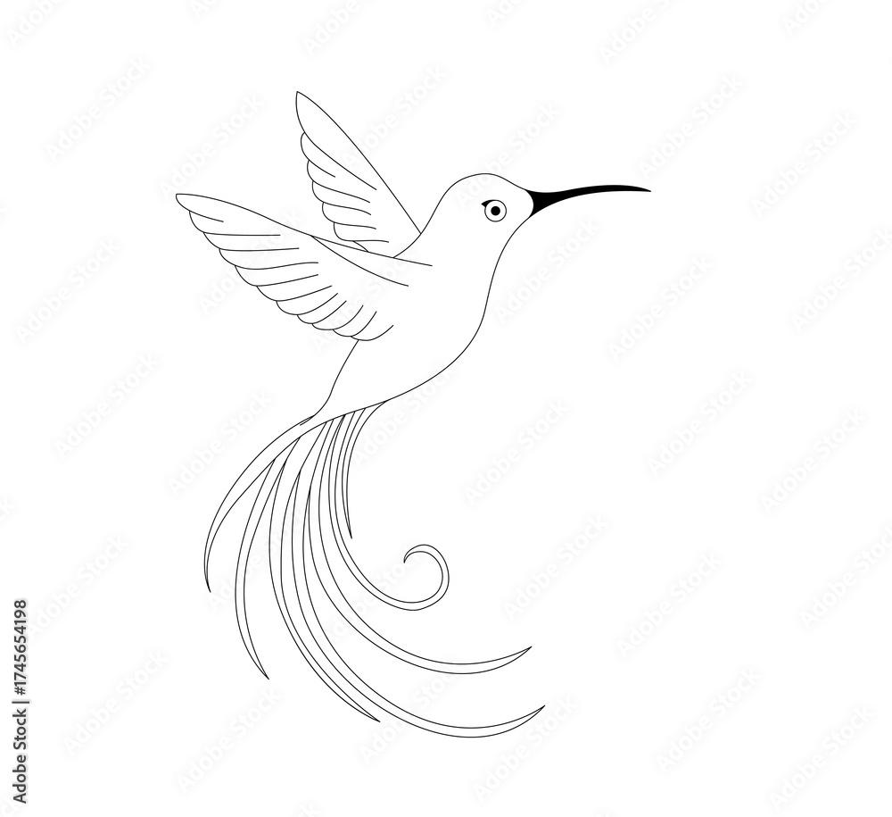 Fototapeta premium vector illustration of a bird