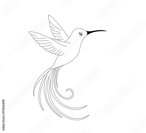 vector illustration of a bird