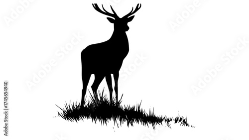 a silhouette of a deer standing on a grassy hillanimal, antler, black, deer, grass, grassy, illustration, moose, profile, reindeer, roe deer, stand, trumpet 