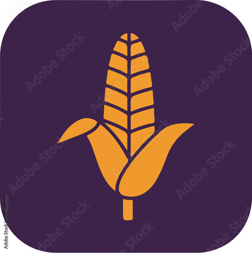 Single ear of corn with orange kernels and purple background