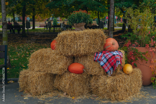 A seasonal and festive shot, perfect for Halloween, Thanksgiving, and fall decor. A large pumpkin surrounded by dry straw. Photo backdrop and photo booth. Autumnal mood.