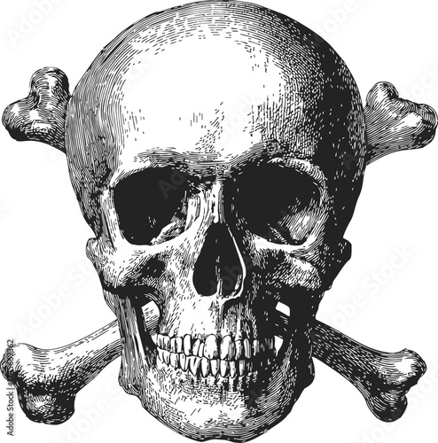 Skull and crossbones sketch, hand drawn vector, vintage engraved style hazard symbol — stock vector