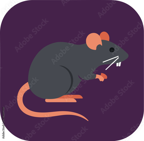 Gray rat with orange accents in mid-motion pose against purple background