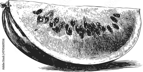 Watermelon slice sketch hand drawn style with seeds detailed black and white — stock vector