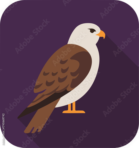 Majestic eagle with rich brown plumage and vivid orange beak standing on one leg against a solid purple backdrop