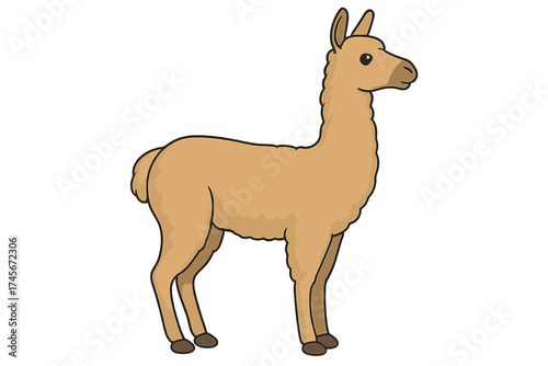 Cute cartoon llama vector illustration. Funny brown alpaca character standing in side profile. Isolated farm animal design for kids, zoo, or travel concepts to Peru.