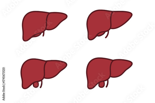 Liver icon set vector illustration for web and mobile. Human internal organ anatomy concept. Health care, medical, and biology symbol. Digestive system, hepatology design element.