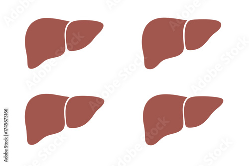 Liver vector icon set for medical and health design. Human organ anatomy symbol. Simple flat illustration for biology, hepatology, or gastroenterology concepts. Digestive system.