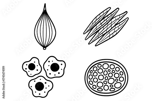 Muscle fiber types icon set. Skeletal muscle anatomy, cross section tissue. Biology cell structure collection. Medical science vector. Human body physiology, histology symbols.