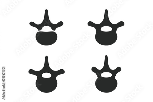 Vertebra icon vector illustration set for web and mobile. Human spine anatomy, backbone, spinal column symbol. Orthopedic, chiropractic, skeleton bone, disc graphic pack.