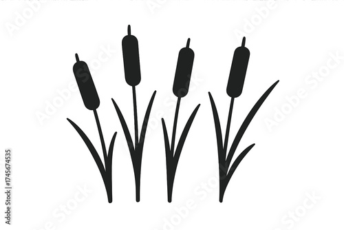 Cattail reed black silhouette icon. Vector illustration of a marsh plant. Minimalist nature graphic for web design. Swamp grass isolated on white background. Aquatic vegetation.