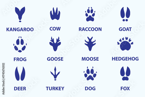 Illustration of various animal footprints showing distinct shapes for paw prints and tracks from different species. Wild animal feet silhouette. Vector zoo footsteps set.