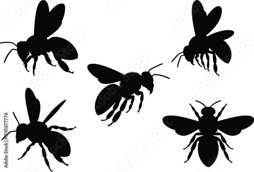 Bee silhouette, insect icon, flying bee, black vector bee, entomology graphic, nature symbol, isolated bee, flat vector illustration