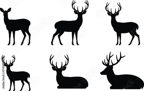 Deer silhouette set, standing and lying poses, antlers variation, wildlife animal icons, black vector shapes, nature illustration, flat vector illustration